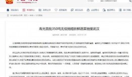 寿光最新爆料消息公布时间,揭秘事件背后真相，时间线梳理
